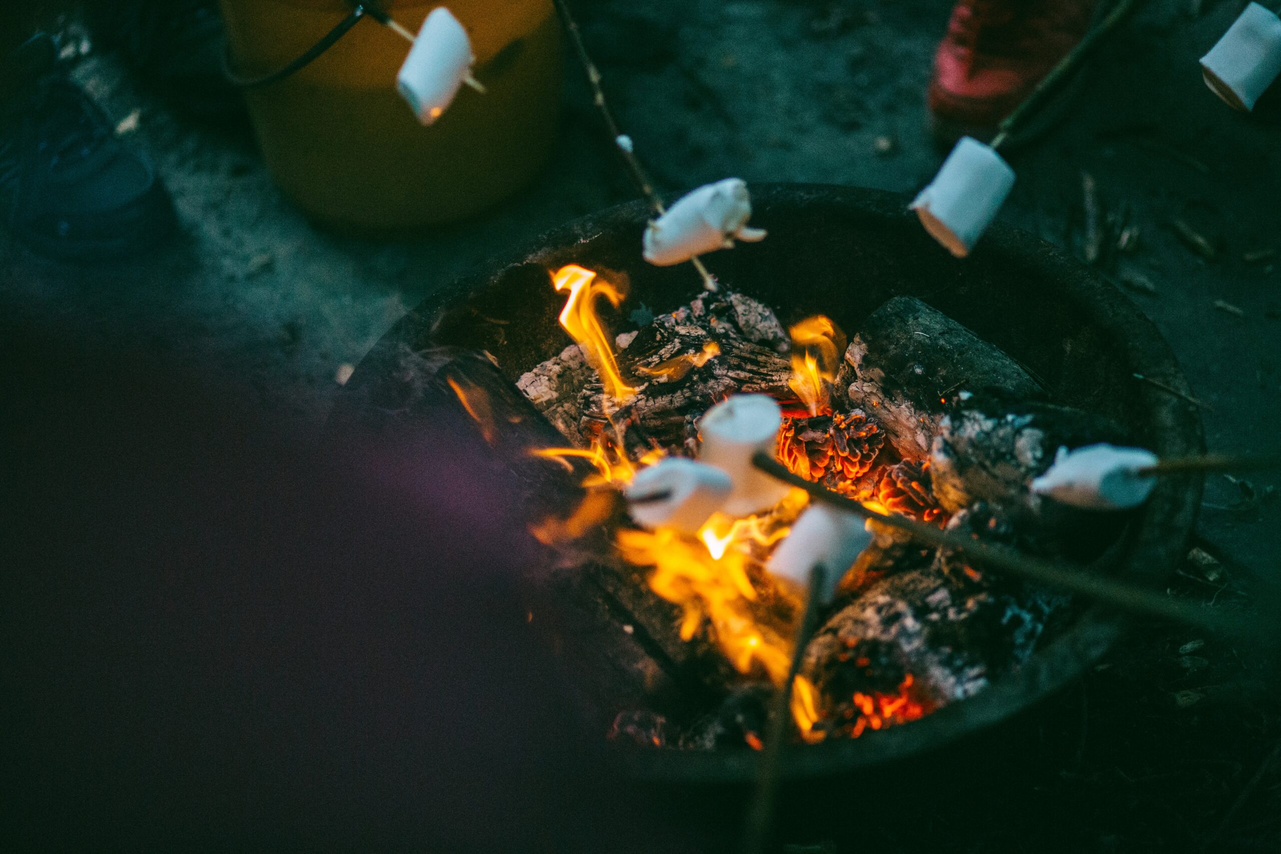 camp fire with toasting marshmallows
