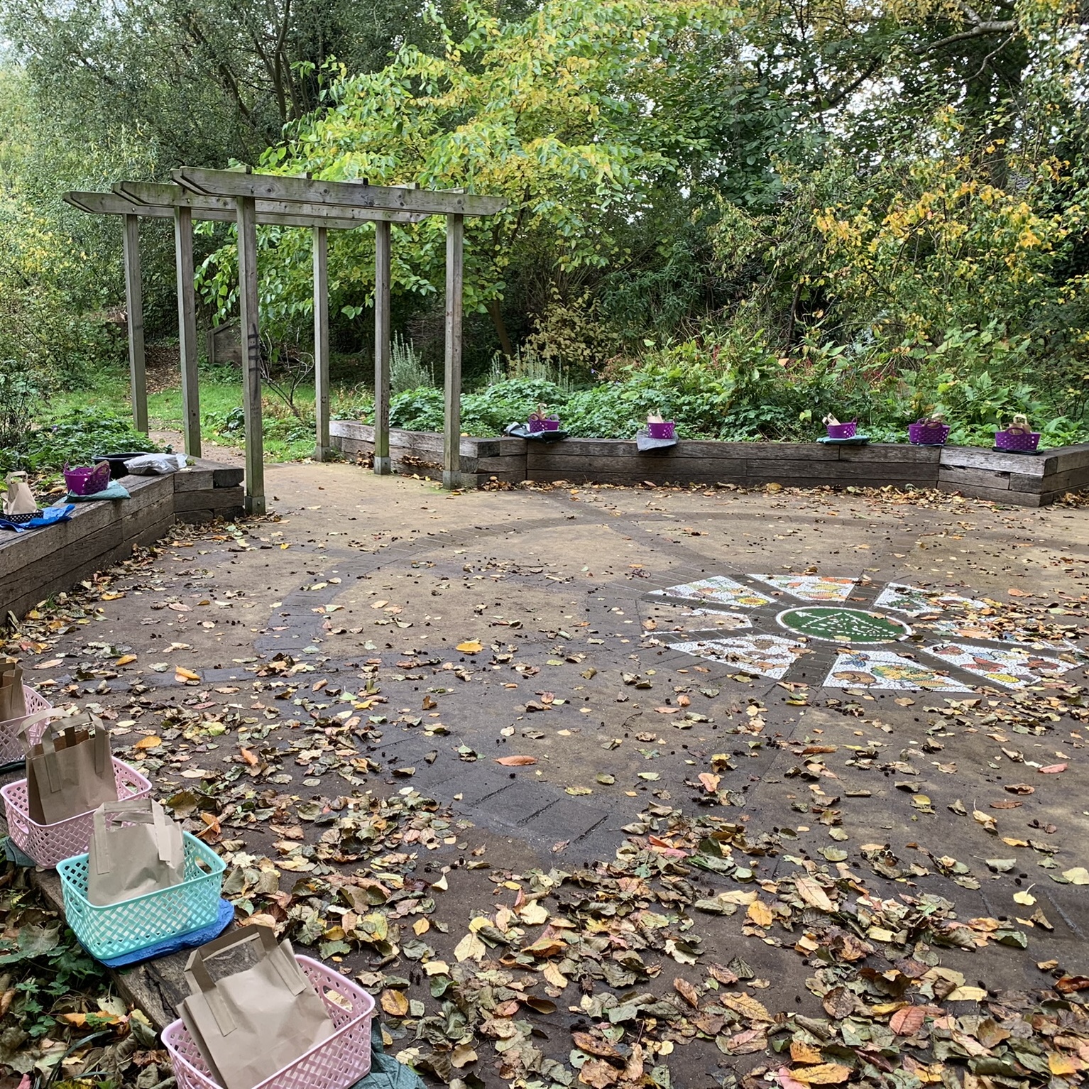 Central meeting space set up for family forest school